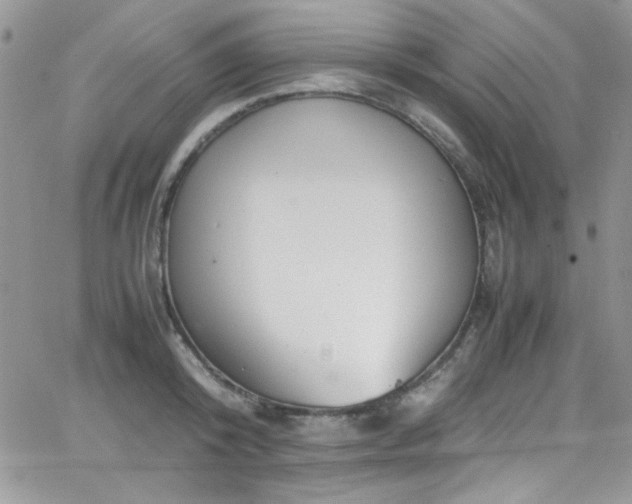 X0000066520800200603201322