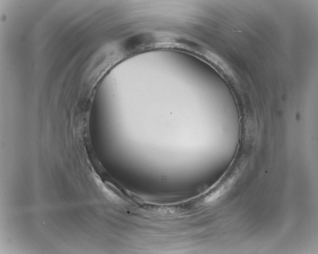 X0000066520801200603201322