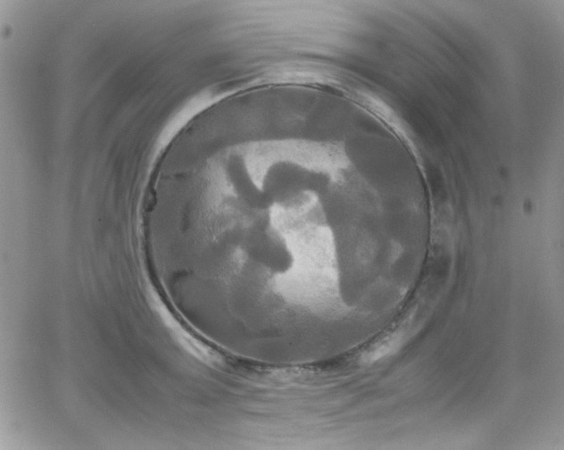 X0000066520803200603201322