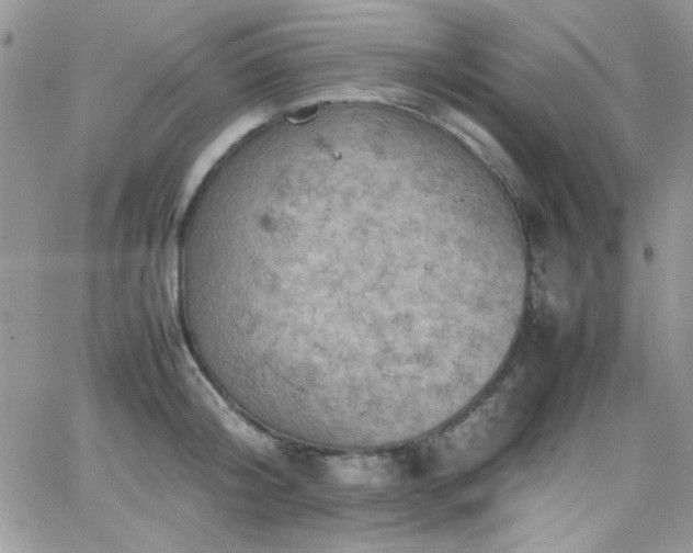 X0000066520804200603201322