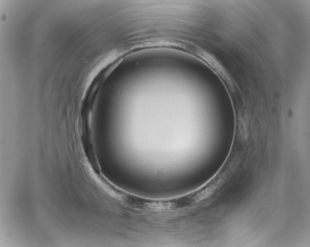 X0000066520805200603201322