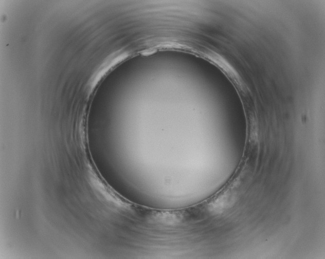 X0000066520806200603201322