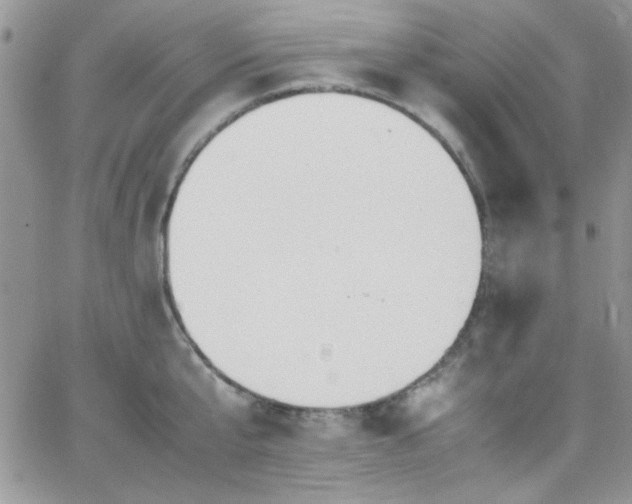 X0000066520807200603201322