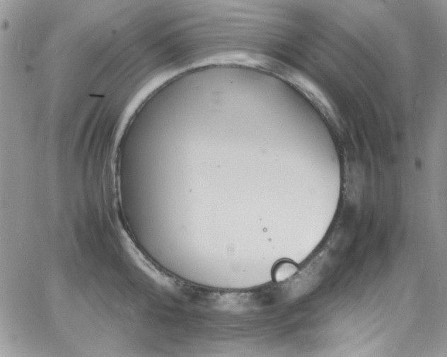 X0000066520808200603201322