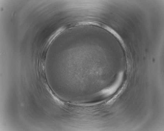 X0000066520809200603201322