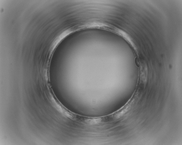 X0000066520810200603201322