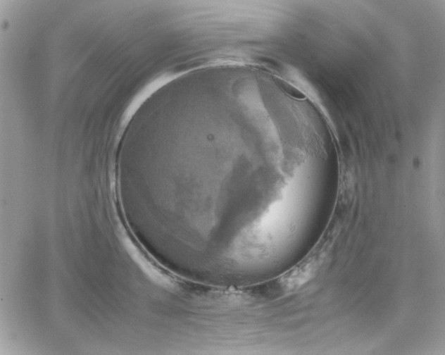 X0000066520811200603201322