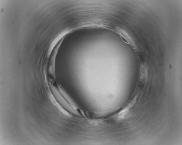 X0000066520812200603201322