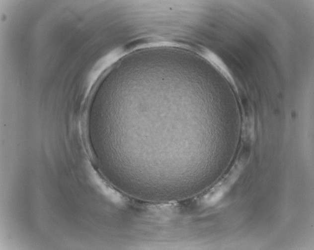 X0000066520813200603201322