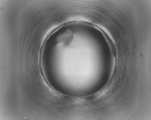 X0000066520815200603201322