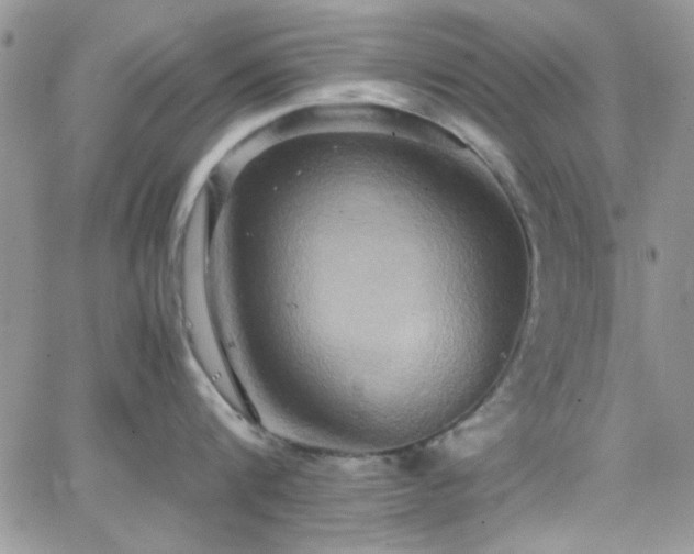 X0000066520816200603201322