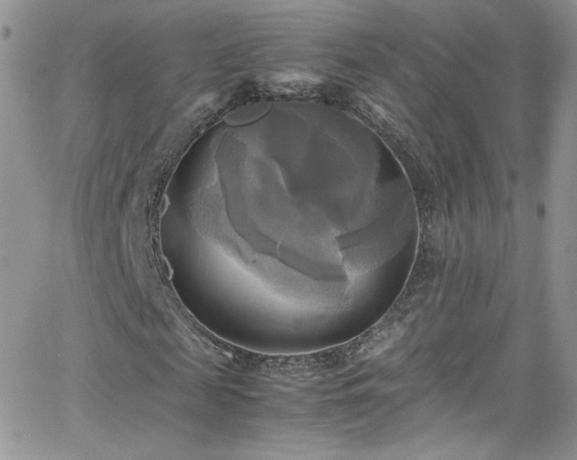 X0000066520817200603201321