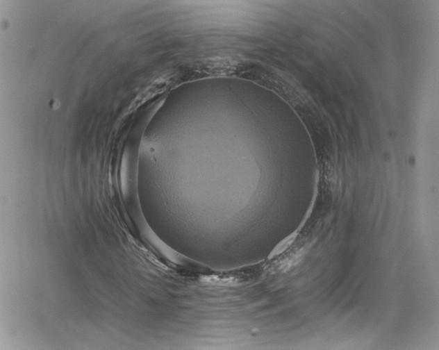 X0000066520818200603201321