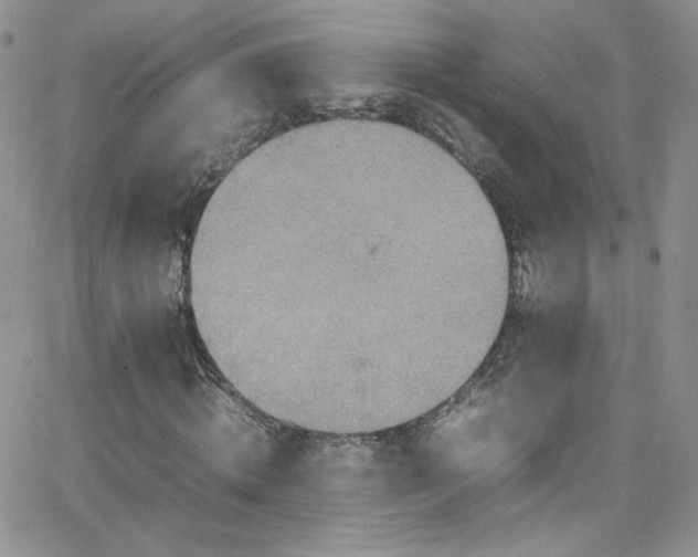 X0000066520820200603201321