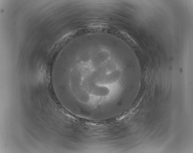 X0000066520821200603201321