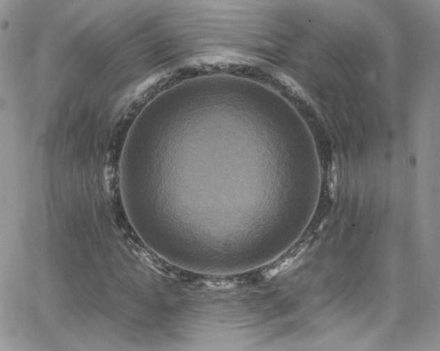 X0000066520822200603201321