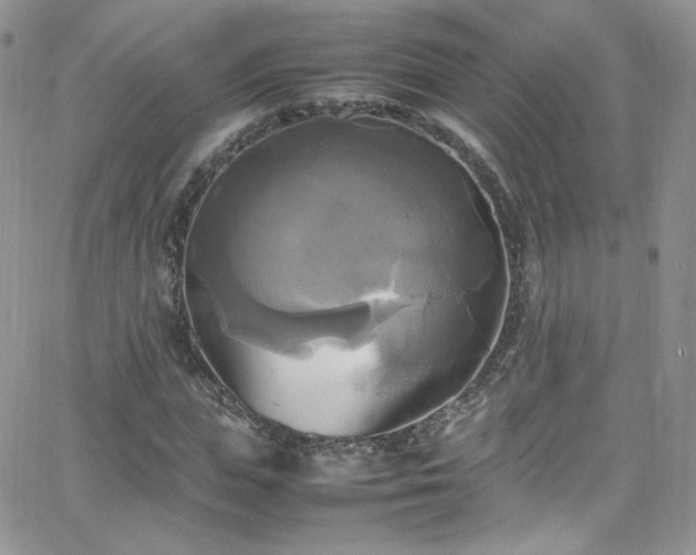 X0000066520823200603201321