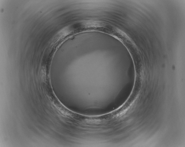 X0000066520825200603201321