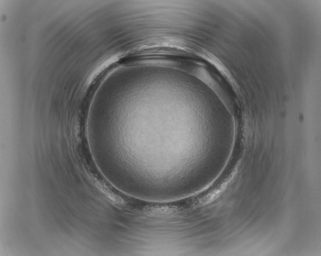 X0000066520826200603201321