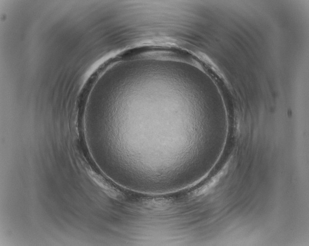 X0000066520830200603201321