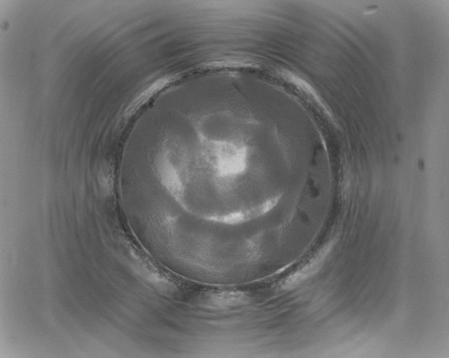 X0000066520833200603201321