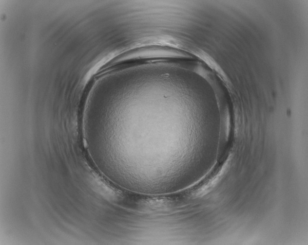 X0000066520834200603201321