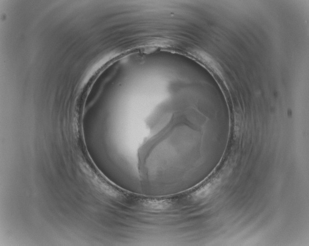 X0000066520835200603201321