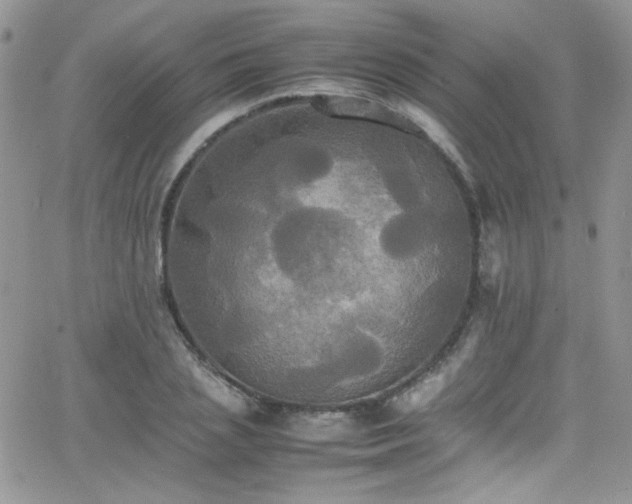 X0000066520837200603201321