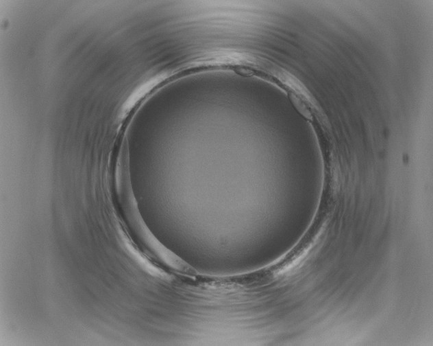 X0000066520842200603201321