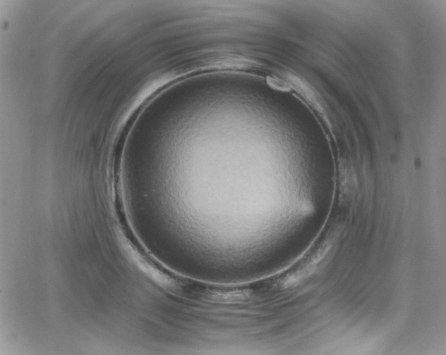 X0000066520843200603201321