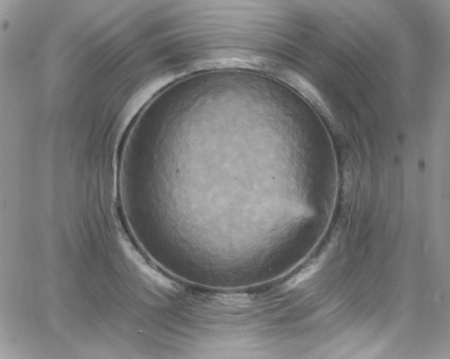 X0000066520844200603201321