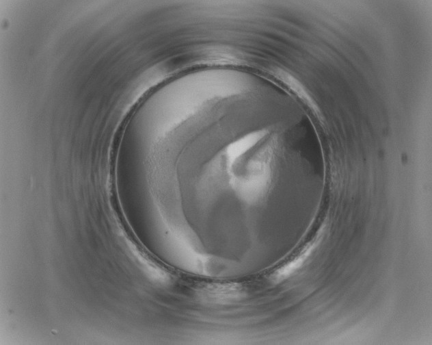 X0000066520845200603201321