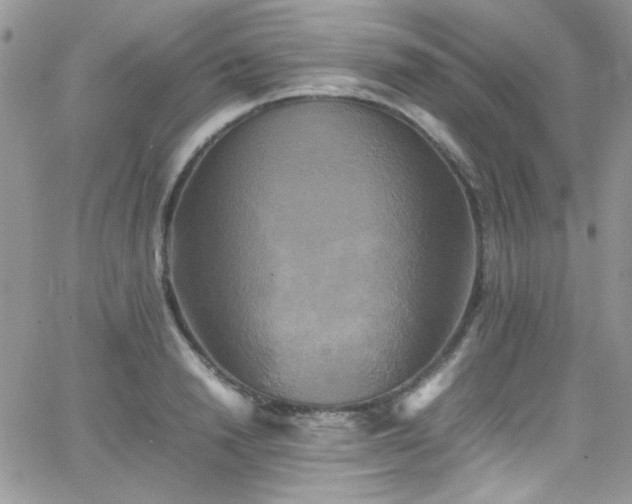 X0000066520846200603201321