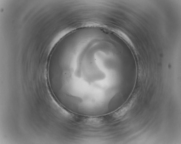 X0000066520847200603201321