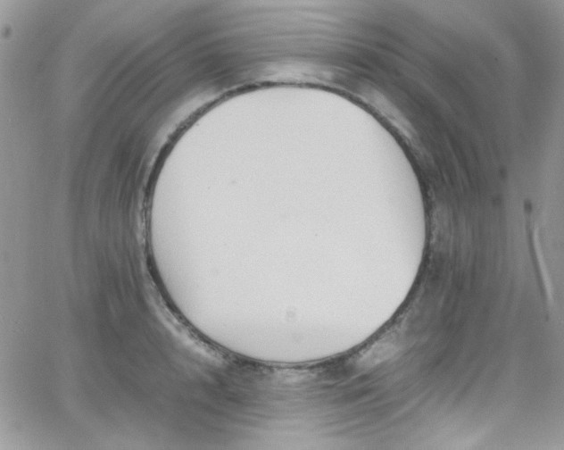 X0000066520848200603201321