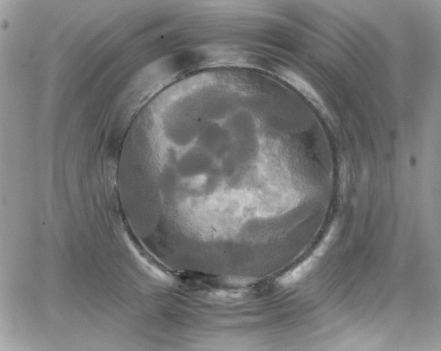 X0000066520849200603201321