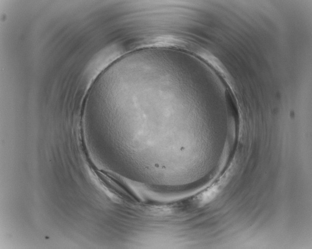 X0000066520850200603201322