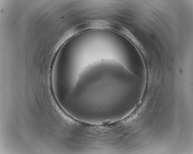 X0000066520853200603201322