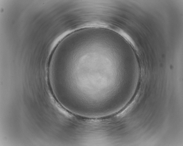 X0000066520854200603201322