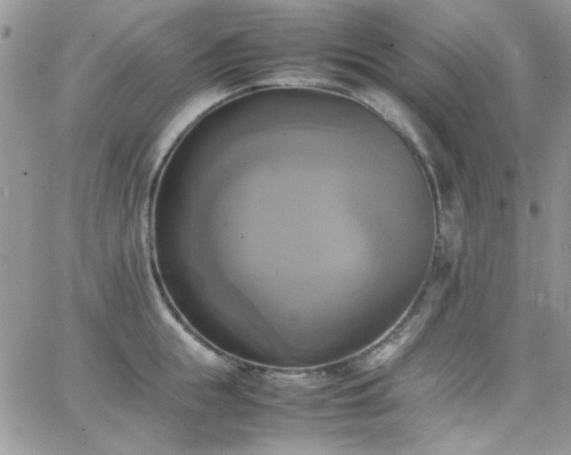 X0000066520855200603201322