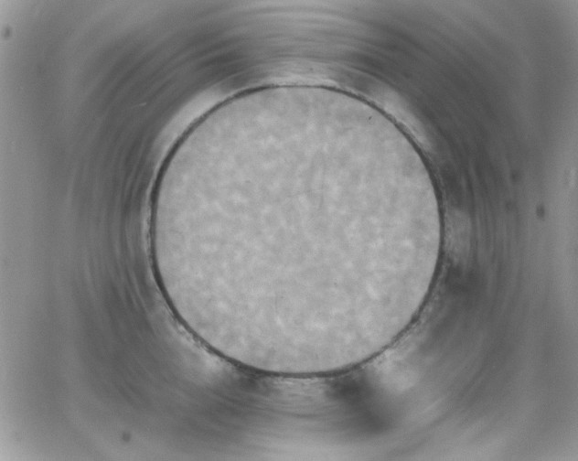 X0000066520856200603201322