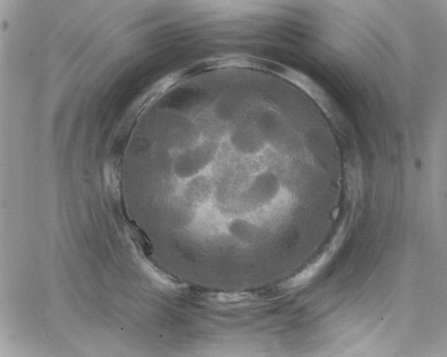 X0000066520857200603201322