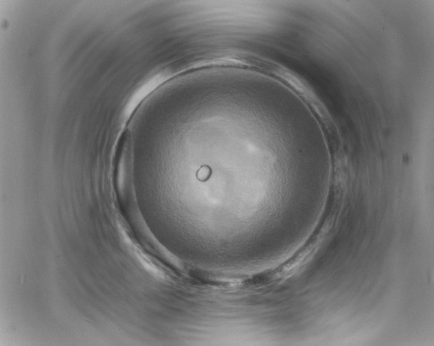 X0000066520858200603201322