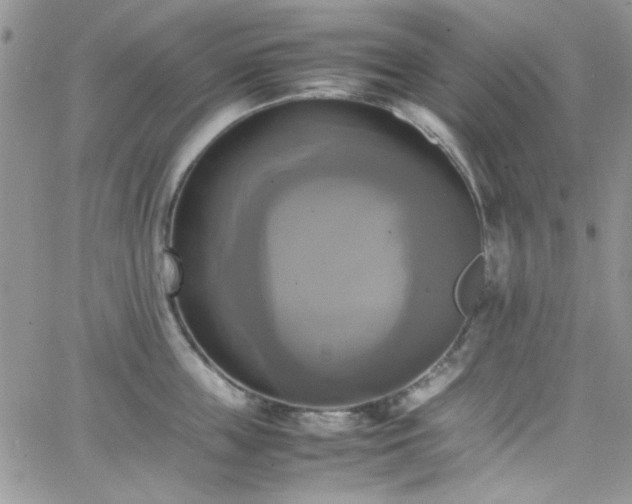 X0000066520859200603201322