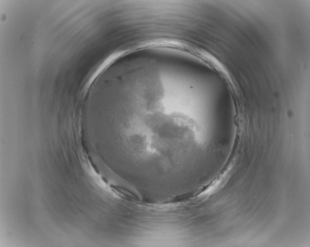 X0000066520860200603201322