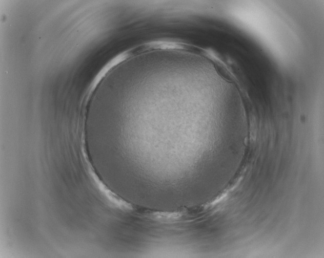 X0000066520861200603201322