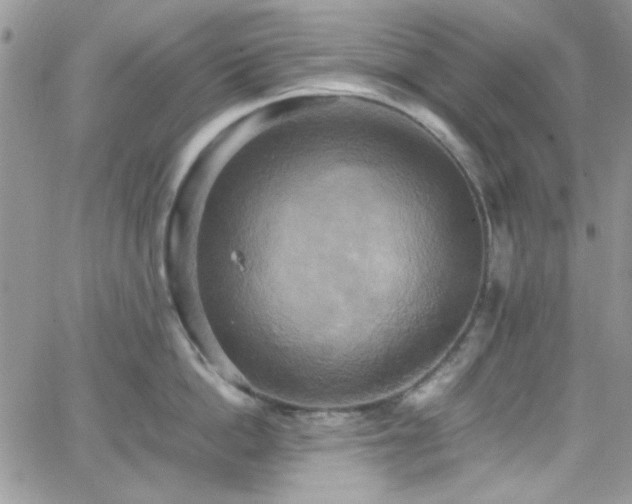 X0000066520862200603201322