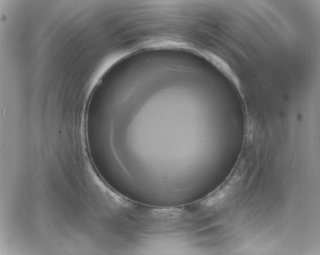 X0000066520863200603201322