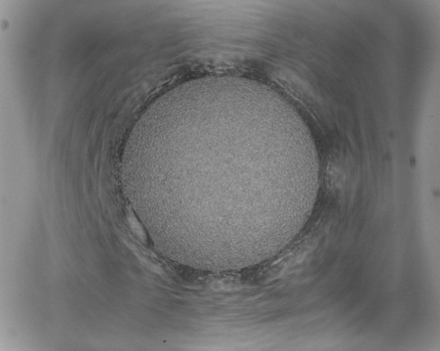 X0000066520865200603201321