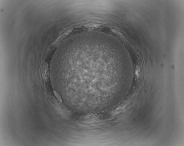 X0000066520867200603201321